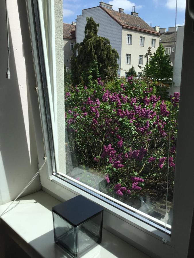 Earl Grey Apartment Wien 外观 照片